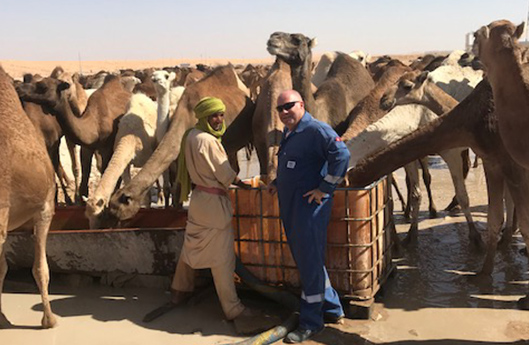 Men in front of a camel herd (photo)