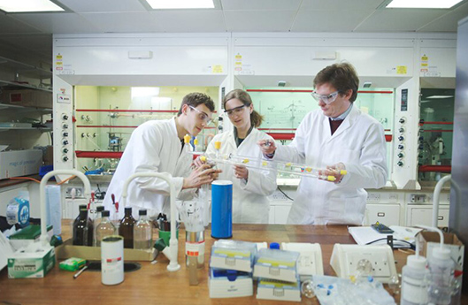 Scientists in a laboratory (photo)